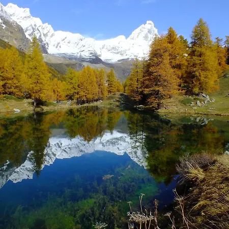 The Aimone - Historic Alpine Retreat Breuil-Cervinia